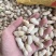 精品鲜花生，保质保量籽粒饱满，对接全国，电商市场超市档口