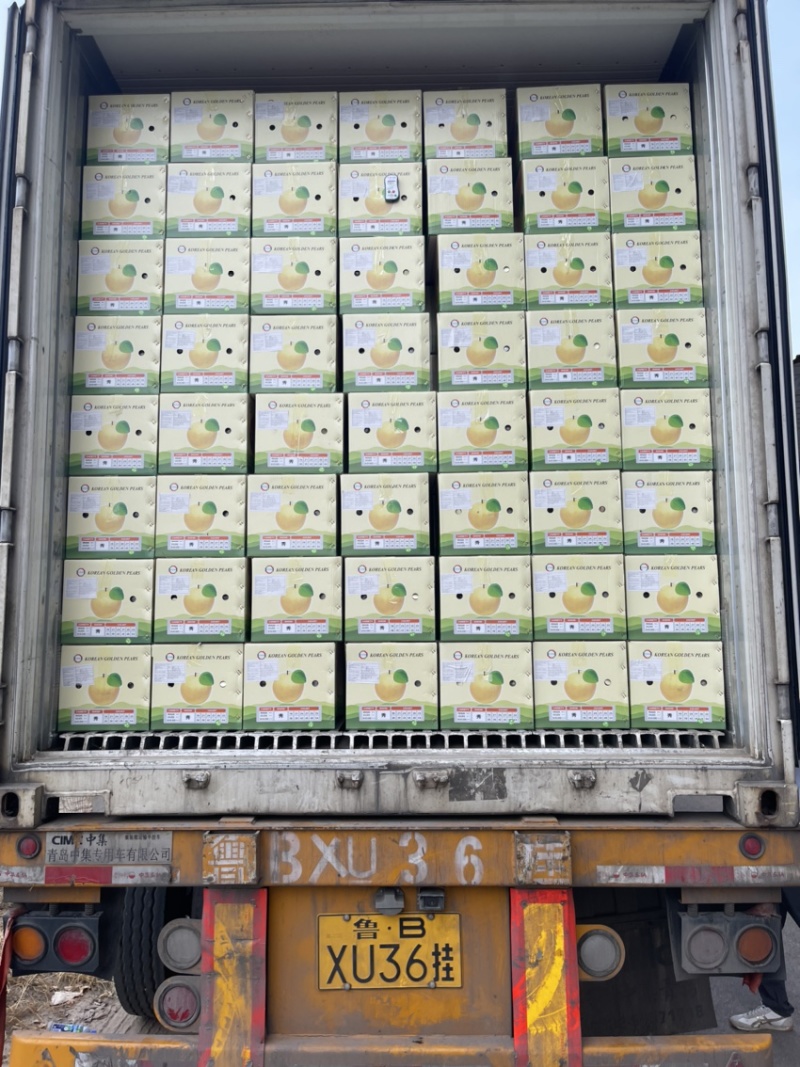 供应丰水梨，脆甜多汁，承接外贸出口，商超，市场订单