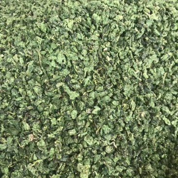 桑叶茶，长寿茶