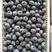 精品蓝莓大量供应产地直销一手货源价格便宜支持全国发货