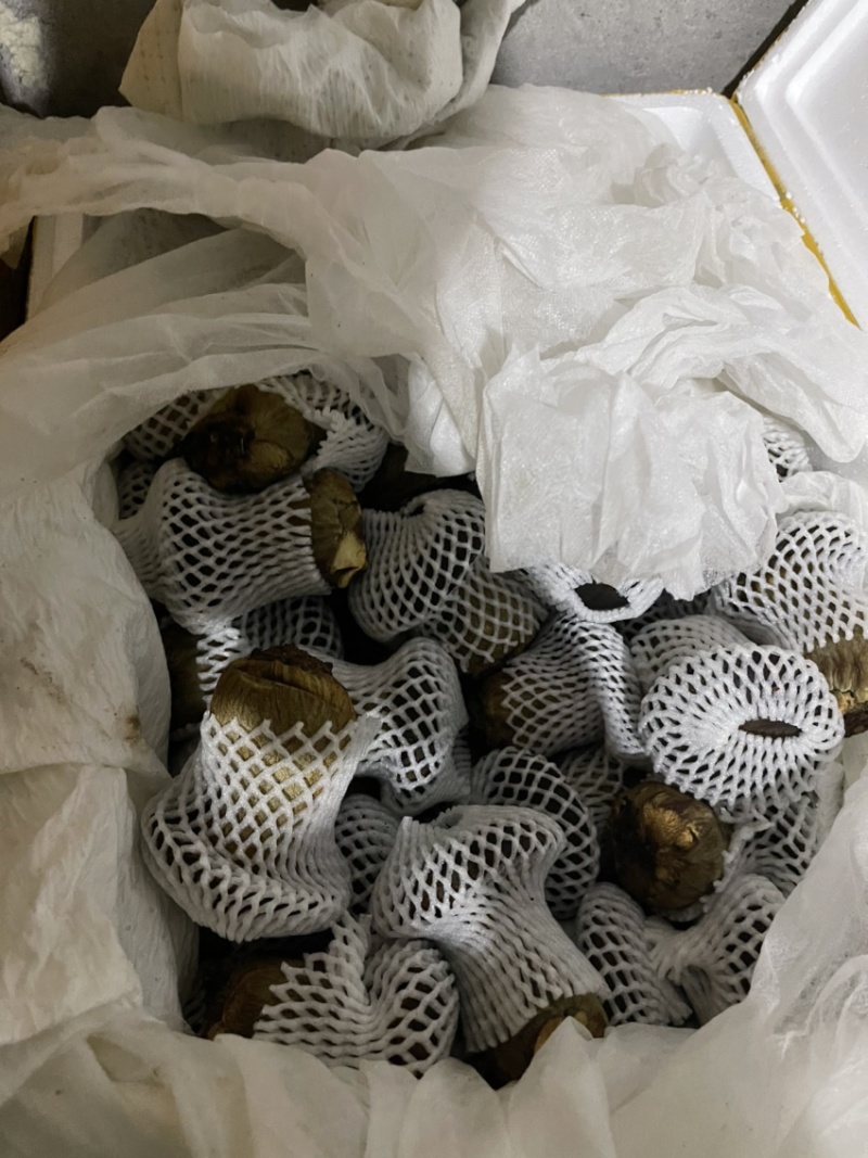[精选牛肝菌]规格统一，新鲜采摘价格优惠，欢迎咨询。
