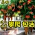 美国凌霄花苗爬藤植物耐寒庭院花园阳台攀援花卉藤本苗喇叭炮
