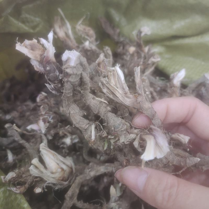 石菖蒲菖蒲家里人在山沟沟边挖的，洗干净晒干的