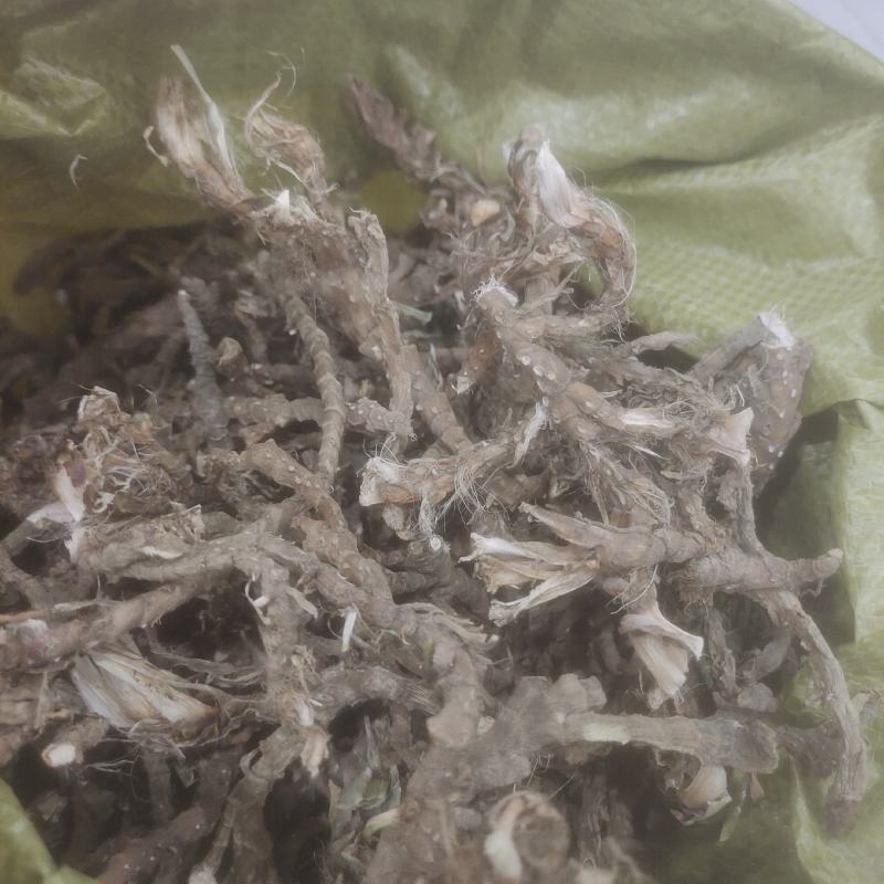 石菖蒲菖蒲家里人在山沟沟边挖的，洗干净晒干的