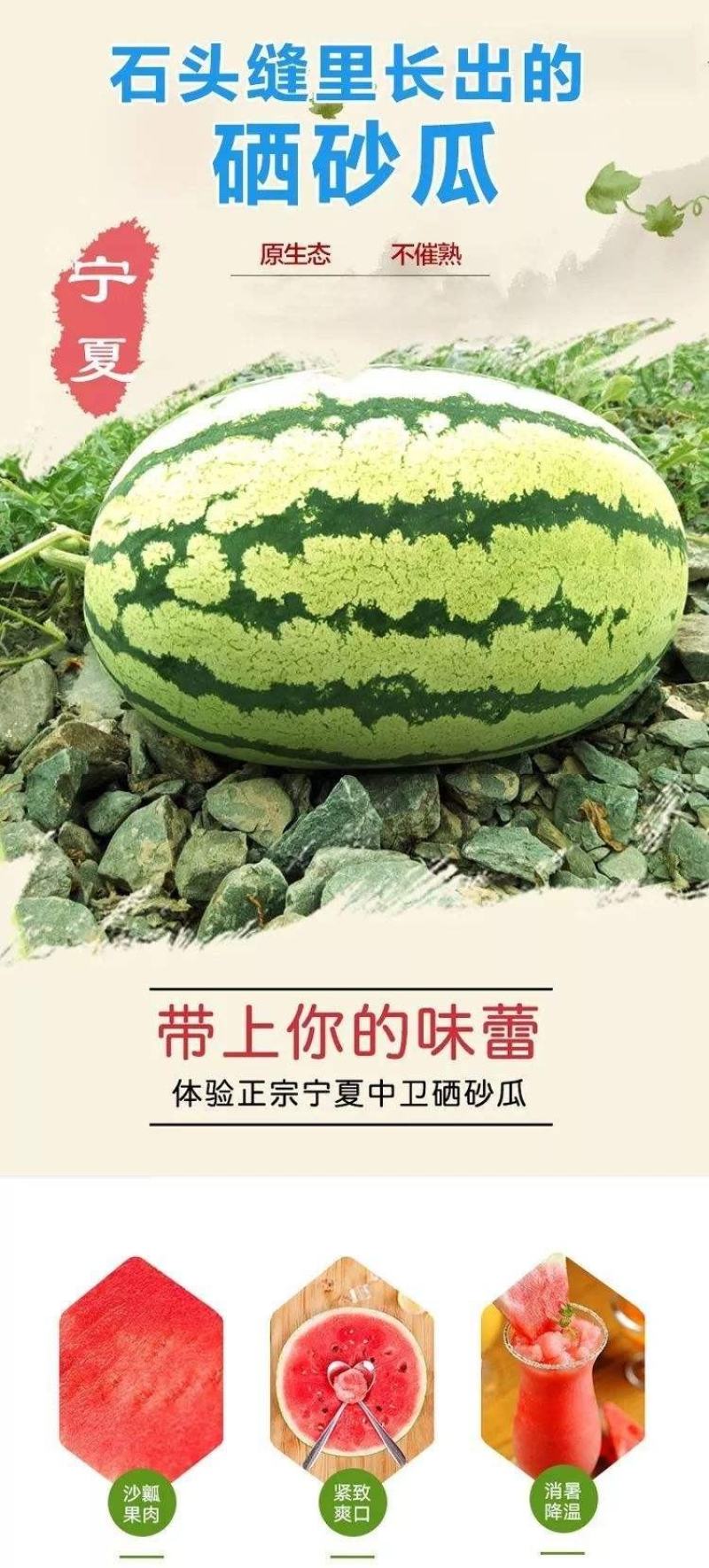 【精品】宁夏硒砂瓜即将大量上市品质好诚信经营