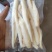 山海螺羊乳草四叶参南沙参山胡萝卜