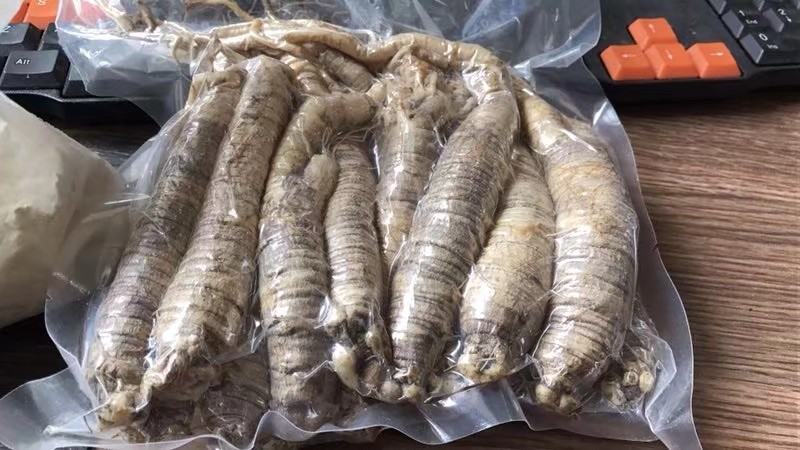 山海螺羊乳草四叶参南沙参山胡萝卜