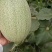 西州蜜青龙密个大保甜456