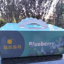 团购款蓝莓串果，每天新鲜采摘，分拣包装，冷库储存确保新鲜