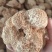 猴头菇袋装炖汤食用菌携带方便包邮大量供应一件代发