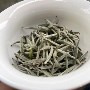 白毫银针
