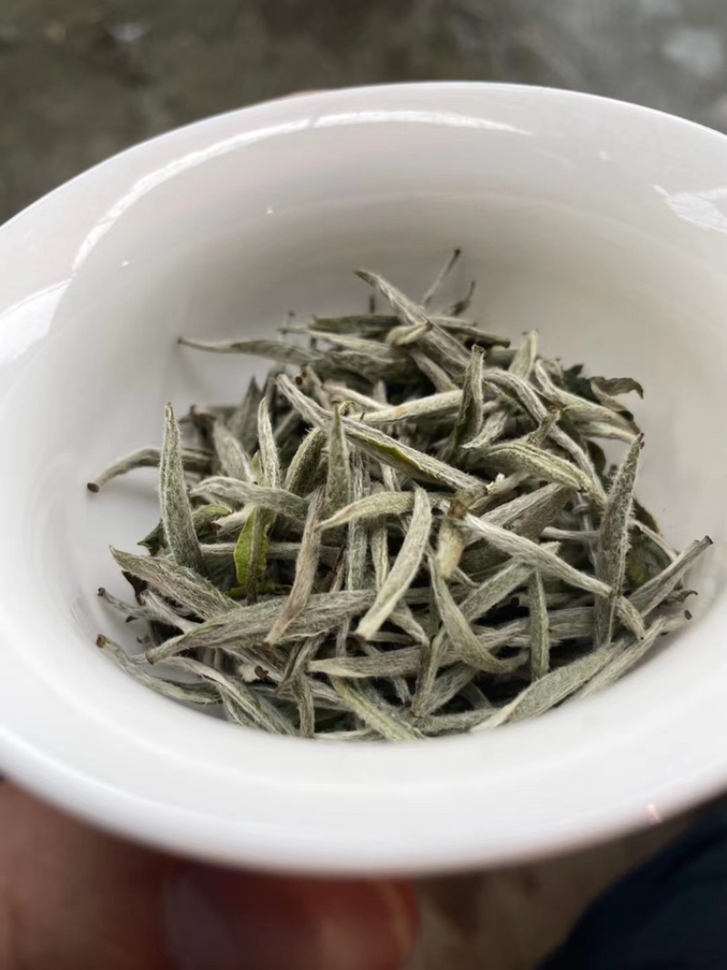 白毫银针