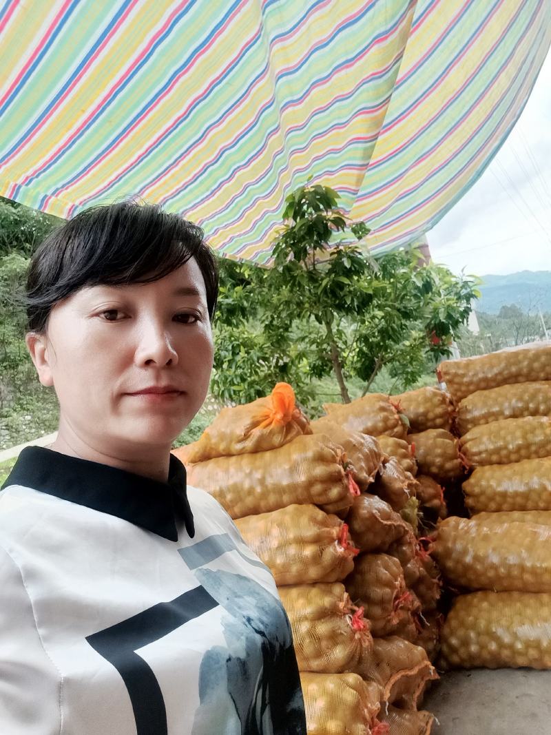 大凉山盐源早核桃