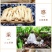 西云珍坊新货竹荪干货农家食用菌长裙菌研菌菇类批发