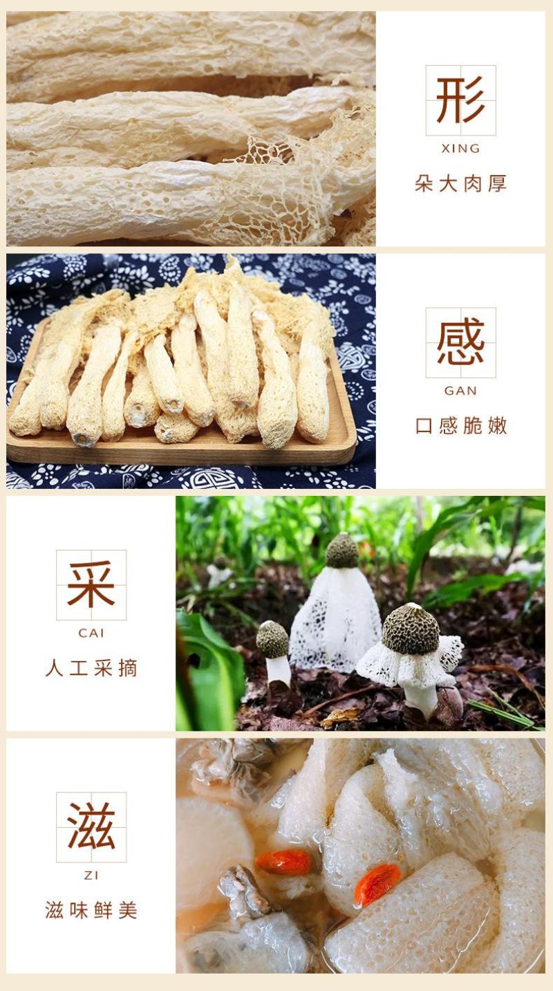 西云珍坊新货竹荪干货农家食用菌长裙菌研菌菇类批发