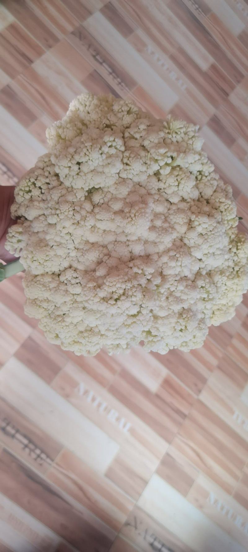 花菜