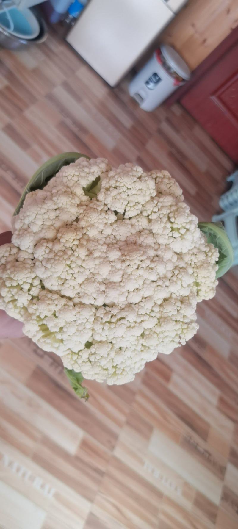 花菜