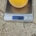 金冠8-18甜黄桃，黄金蜜一号