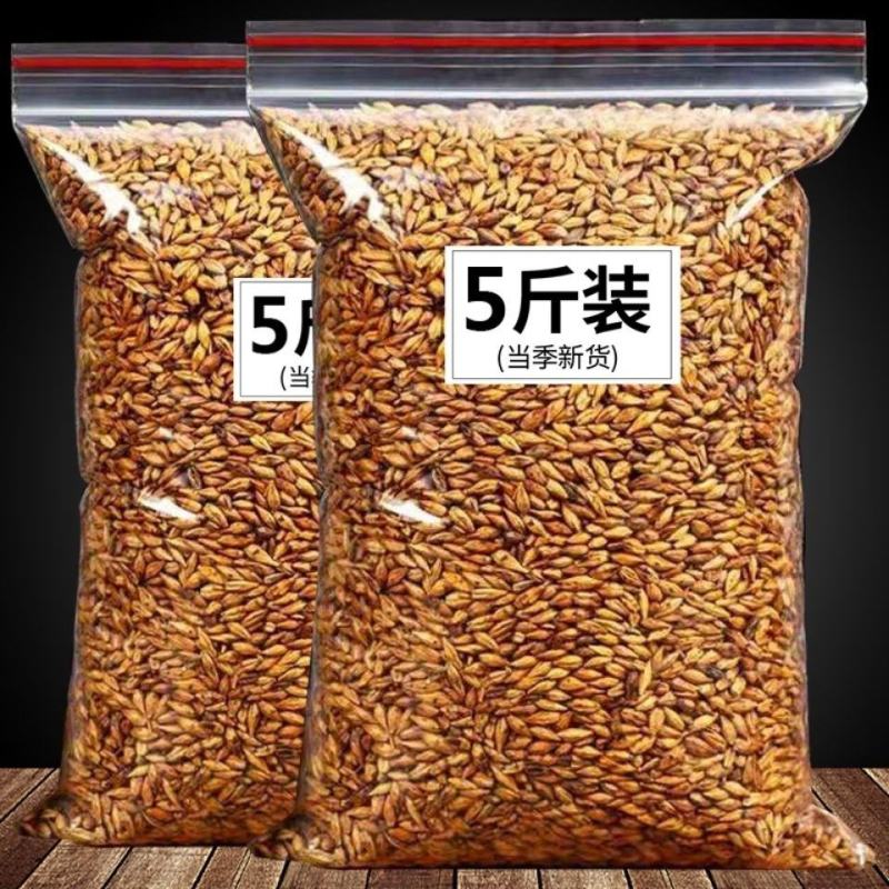 大麦茶原味正宗浓香型养胃解油腻麦芽大麦茶正宗饭店批发散装
