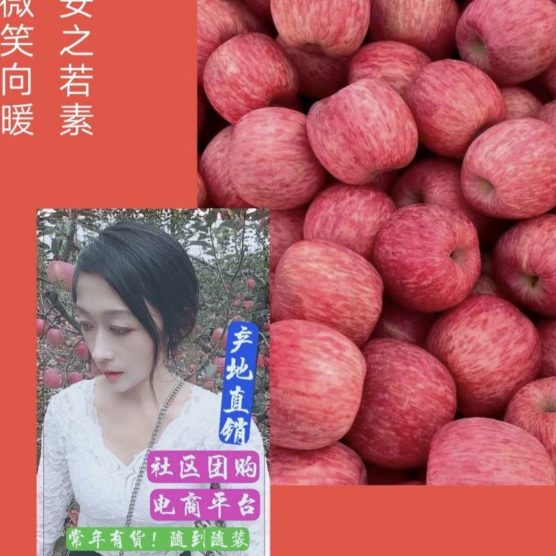 【奶油富士苹果行情】山东苹果以质量求生存以品质畅销全国