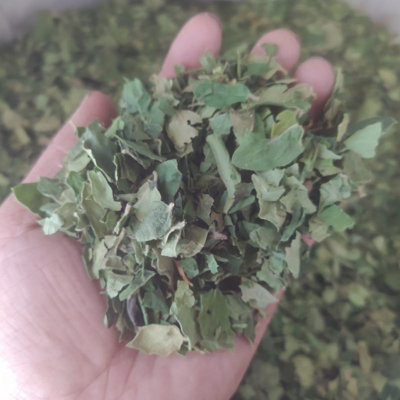 金银花叶供应千余品种中药材各规格联系客服