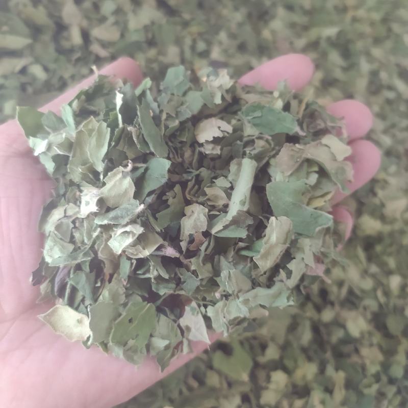 金银花叶供应千余品种中药材各规格联系客服