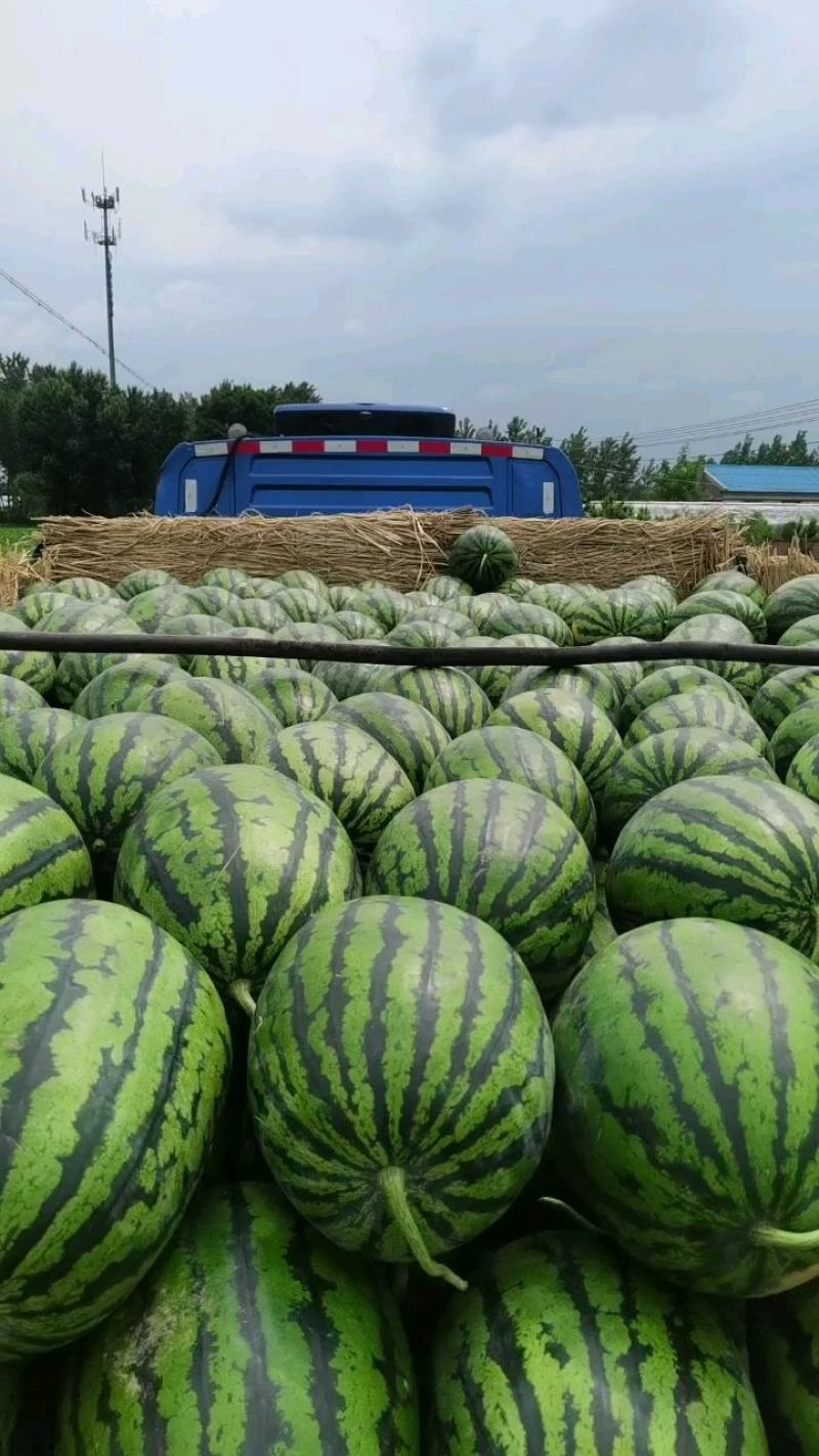 甜王西瓜