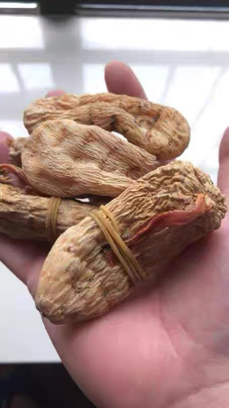 云南昭通野生纯干天麻可免费打粉切片