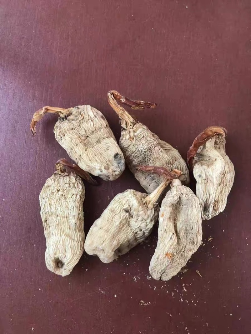 云南昭通野生纯干天麻可免费打粉切片