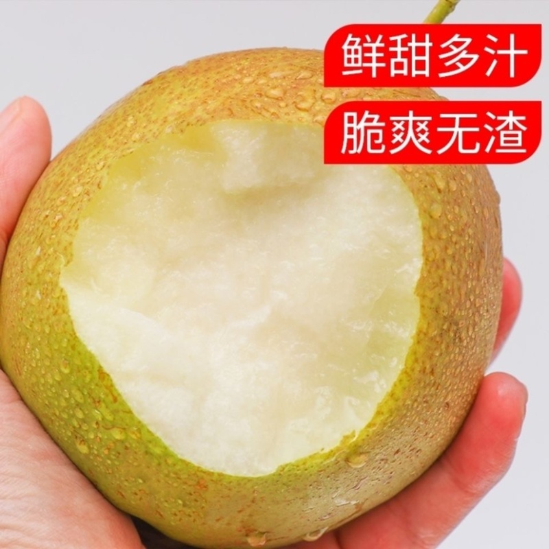 新梨七号大量上市中产区直发，对接电商市场批发社区团购