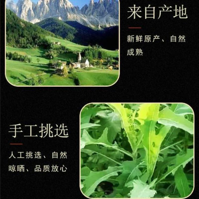 败酱草中药材败酱草黄花败酱草中药材草药败酱草