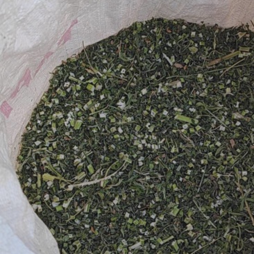 益母草河南野生产地
