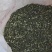 益母草河南野生产地