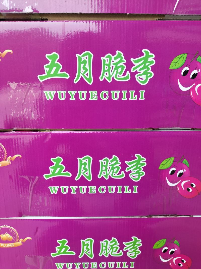 眉山五月脆李子产地批发。一手货源，货源充足