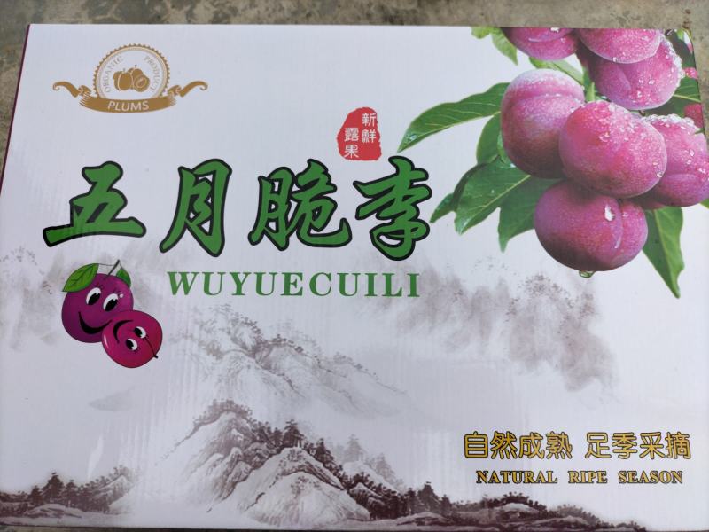 眉山五月脆李子产地批发。一手货源，货源充足