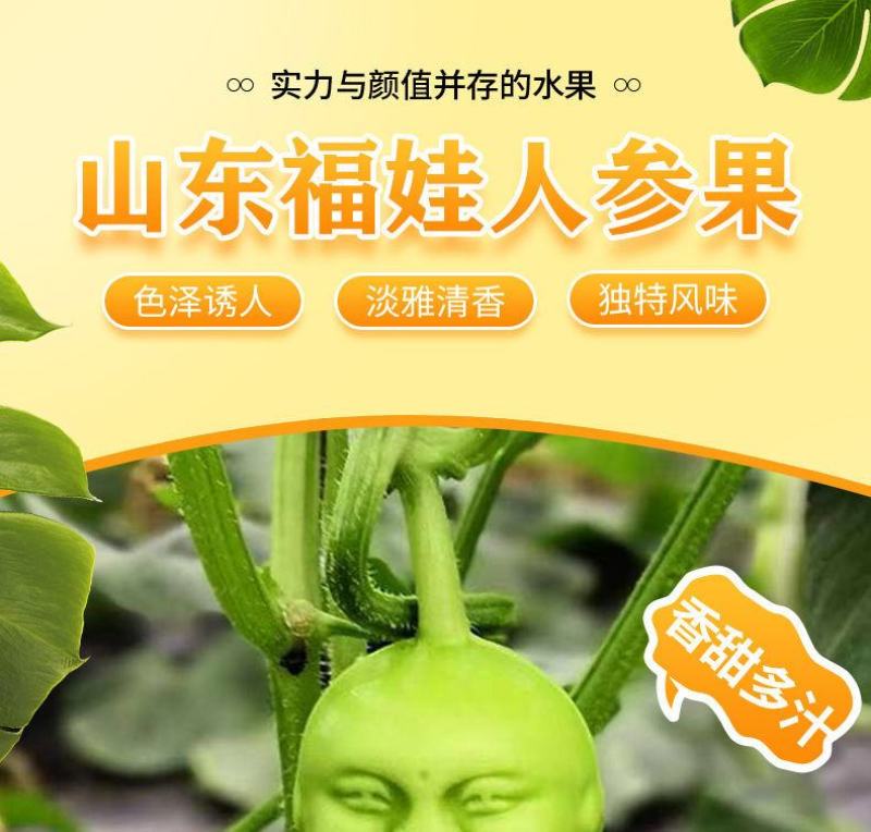 山东福娃人参果一件代发产地发货质量保证快递包邮