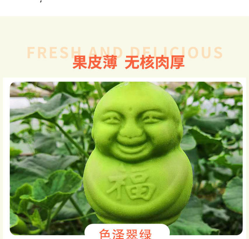 山东福娃人参果一件代发产地发货质量保证快递包邮