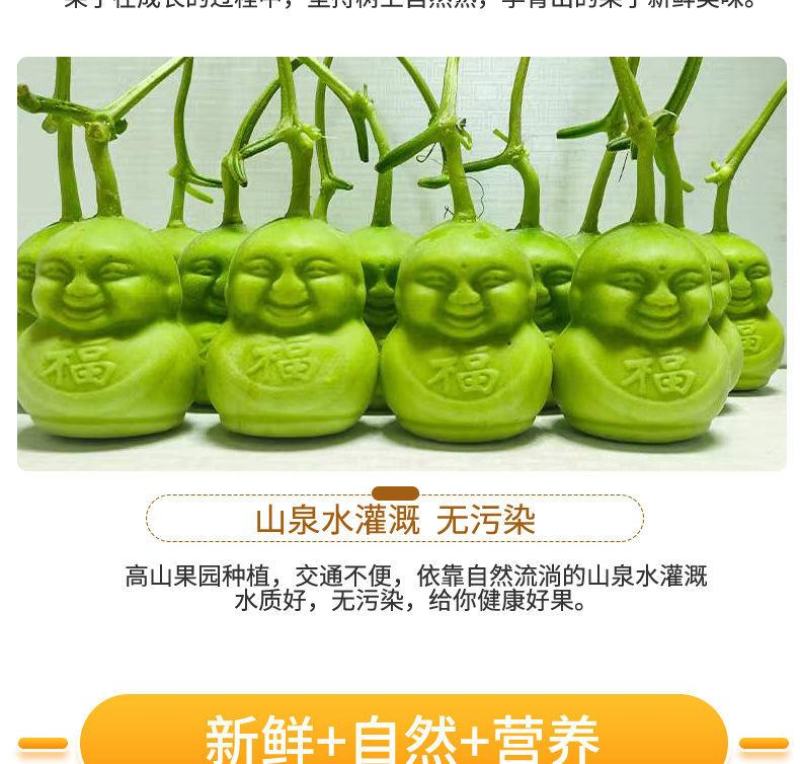 山东福娃人参果一件代发产地发货质量保证快递包邮