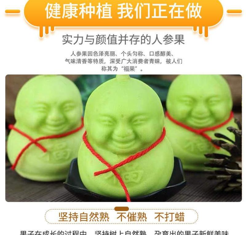 山东福娃人参果一件代发产地发货质量保证快递包邮