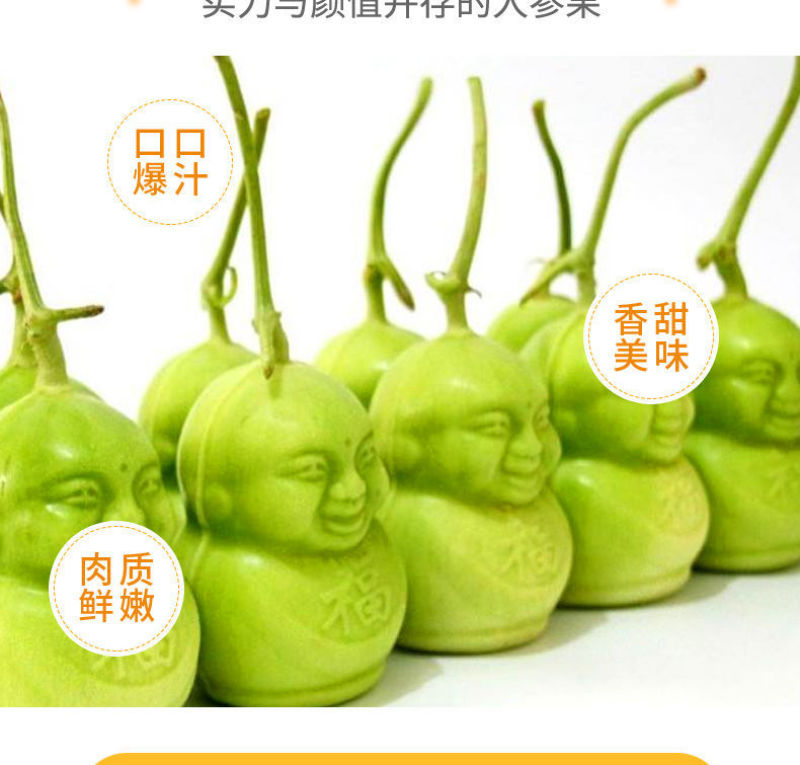 山东福娃人参果一件代发产地发货质量保证快递包邮