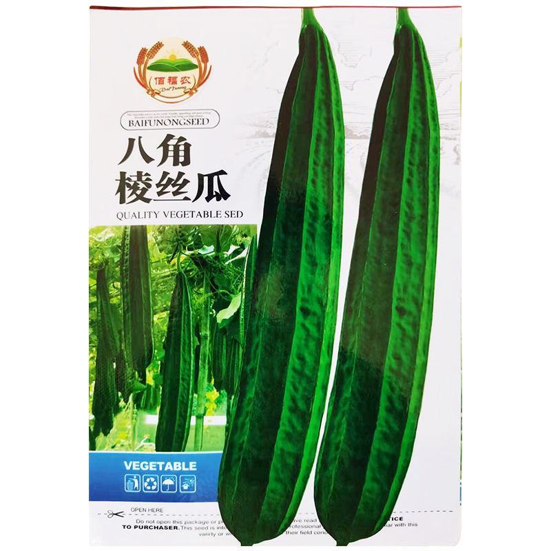 棱角丝瓜种子大肉丝瓜水瓜阳台菜园盆栽庭院有机蔬菜种子