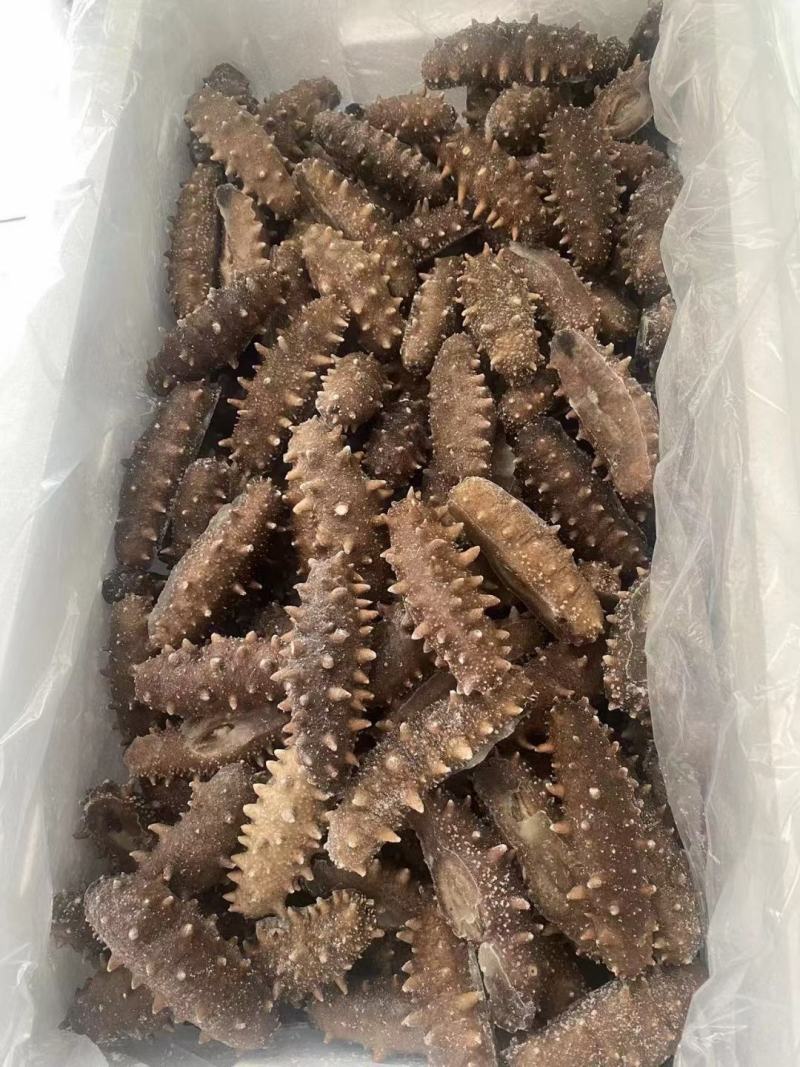 即食海参