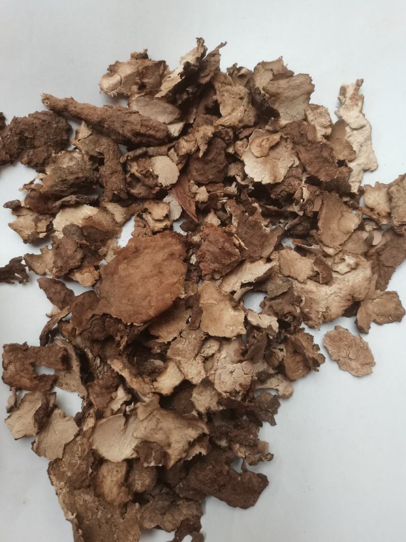 茯苓皮统货批发零售品种齐全诚信经营质量保证