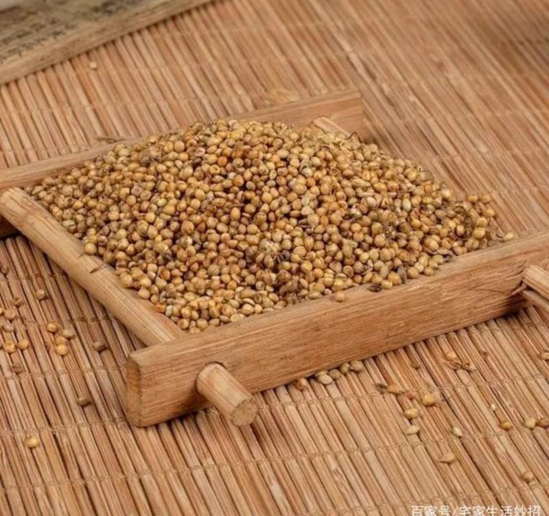 炒谷芽统装500g产地山东振兴药材购销站量大从优