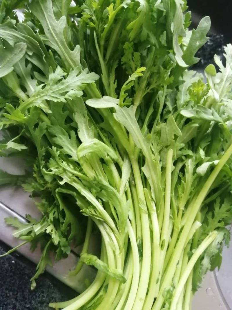 小叶茼蒿种子皇帝茼蒿冬季菜春季四季播耐寒农家蔬菜秋季