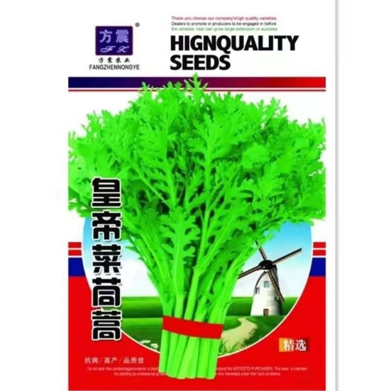 小叶茼蒿种子皇帝茼蒿冬季菜春季四季播耐寒农家蔬菜秋季