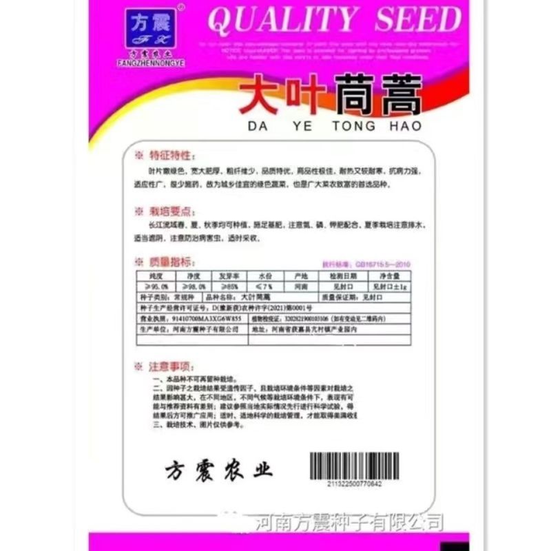 大叶茼蒿种子茼蒿菜籽茼蒿菜种大全春季秋冬季蔬菜茼蒿种籽