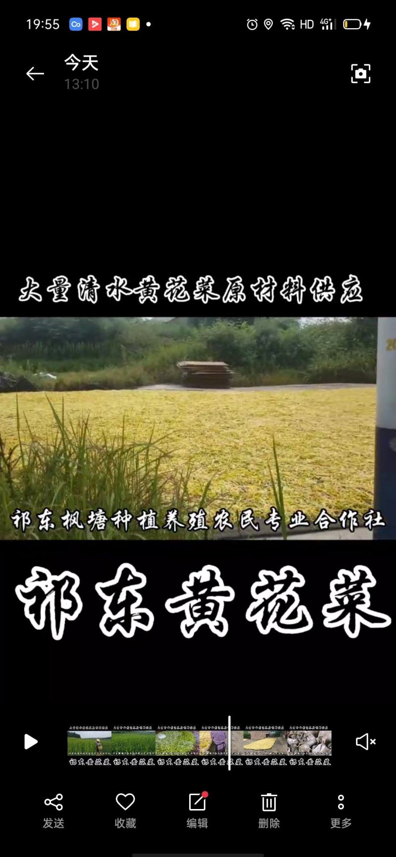 清水黄花菜保鲜菜药菜黄花菜预制菜食品厂原材料供应
