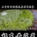 清水黄花菜保鲜菜药菜黄花菜预制菜食品厂原材料供应