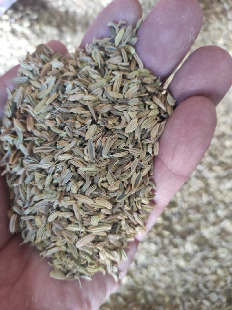 小茴香干货药食同源干净无杂质常年经营各种调料